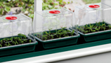 Propagation (3)